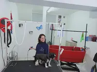 La Toutounerie