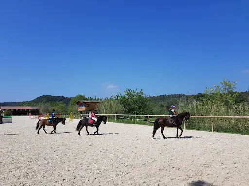 Centre Équestre Saint Georges Equitation