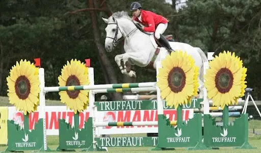 Equitation Montpellier, Pension Chevaux Poneys, Cso