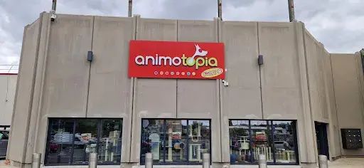 Animotopia Guingamp