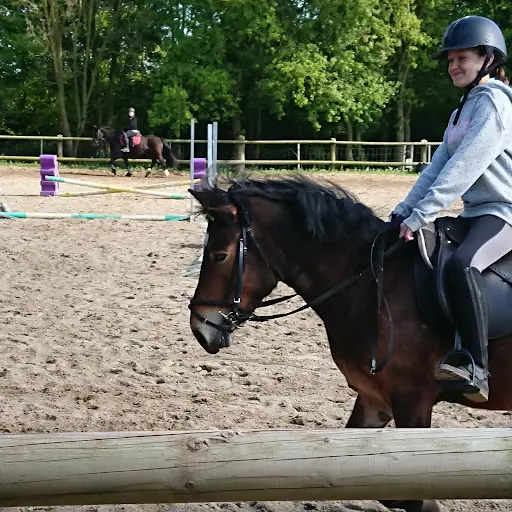 Rando Equestre