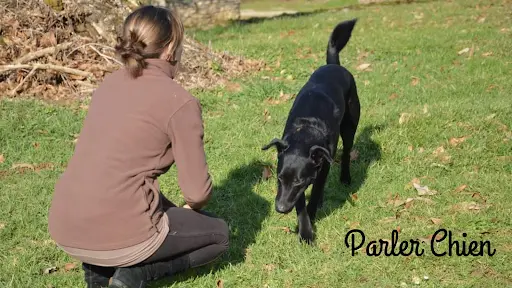 Parler Chien