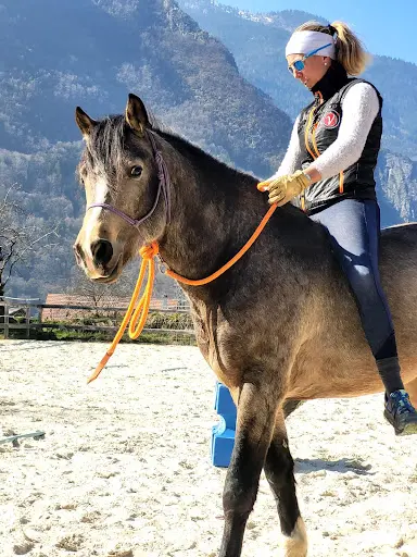 Les Écuries de Grand Cœur