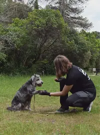 Avenir Canin - Éducateur / Comportementaliste Canin