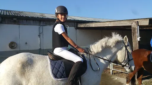Écurie Baie Jump en Baie de Somme