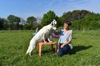 Anim Apaise - Comportementaliste Canin et Médiation Animale