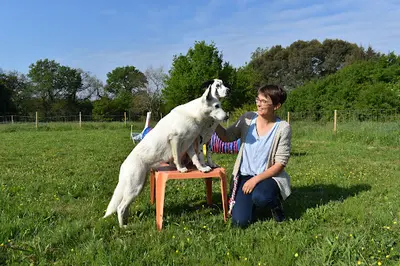Anim Apaise - Comportementaliste Canin et Médiation Animale