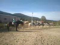 Ferme Équestre du Causse