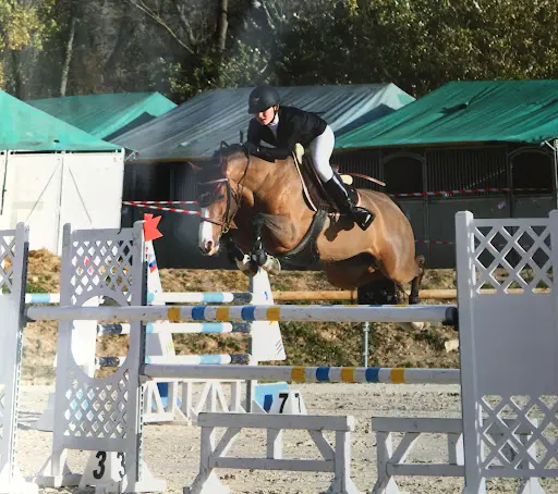 Club Hippique de Grasse : Centre Équestre À Grasse