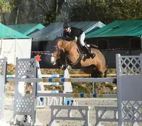 Club Hippique de Grasse : Centre Équestre À Grasse