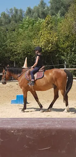 Le Paradenya - Poney Club de Grasse