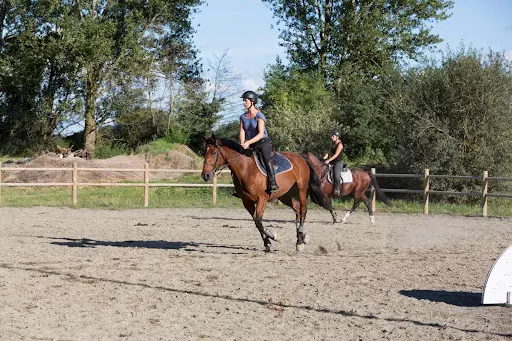 Domaine Equestre de la Louge