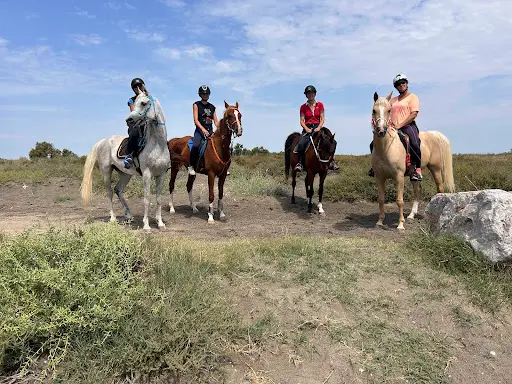 Les Ecuries de Cadillan