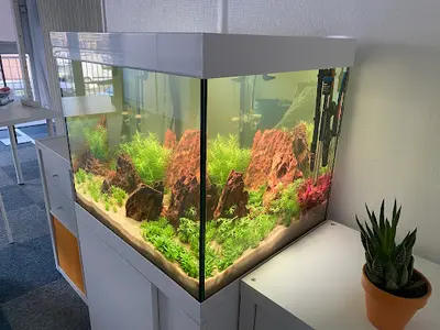Calvados Aquarium