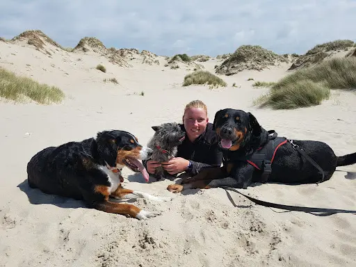 Laura & les Chiens