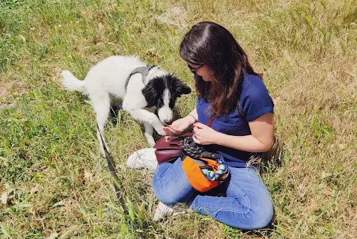 Clémence Chosson | Éducateur Comportementaliste Canin Félin