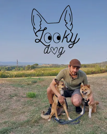 Looky Dog - Éducateur Canin Comportementaliste Grenoble