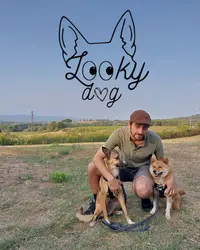 Looky Dog - Éducateur Canin Comportementaliste Grenoble