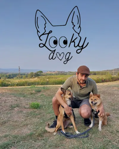 Looky Dog - Éducateur Canin Comportementaliste Grenoble