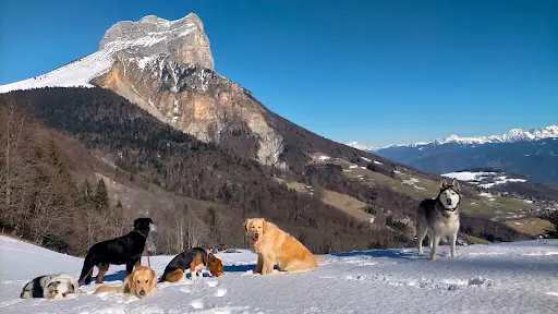 Sunka