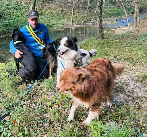 Tdog - Educateur Canin Grenoble et Comportementaliste