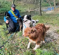 Tdog - Educateur Canin Grenoble et Comportementaliste