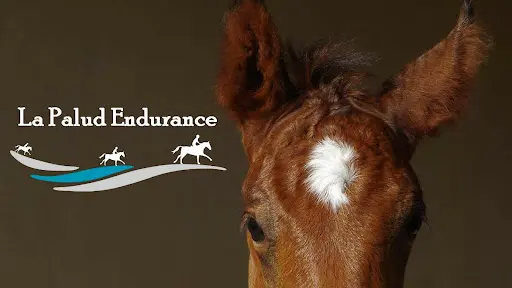 Elevage la Palud Endurance