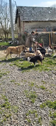 La Bande À Gro