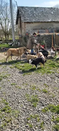 La Bande À Gro