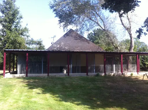 Toutou 2000, Delestre Pascale
