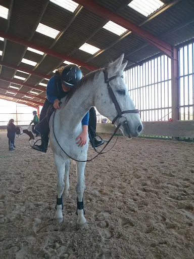 Centre Equestre de Bellevue