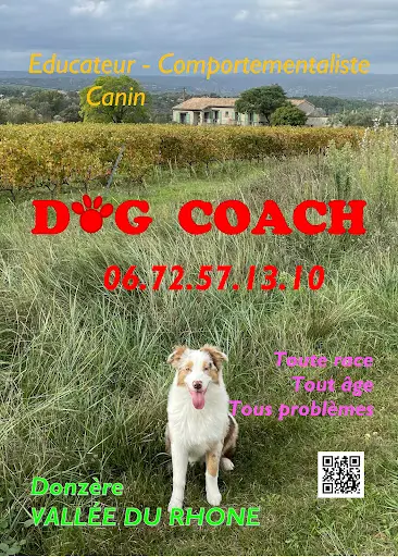 Educateur Comportementaliste Canin Dog Coach