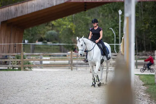 Pension Pour Chevaux-éducation du Cheval-enseignement en Dordogne/earl Varenas