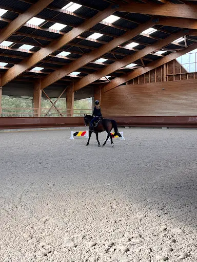 Hbcm Jumping