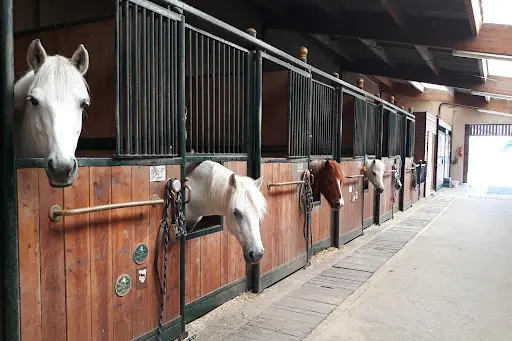 Les Ecuries du Rosey, Poney-club