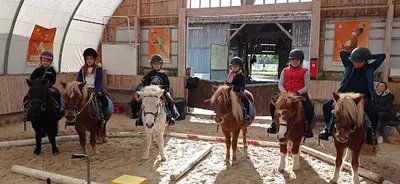 Haras d'Amelone C E les Joncs