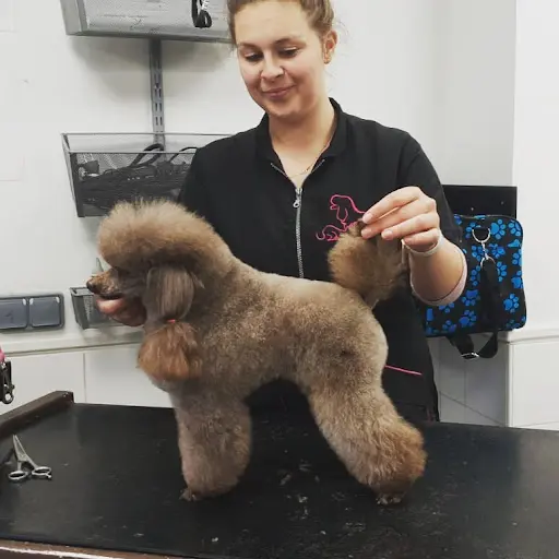 Le Salon de Sophie