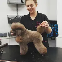 Le Salon de Sophie