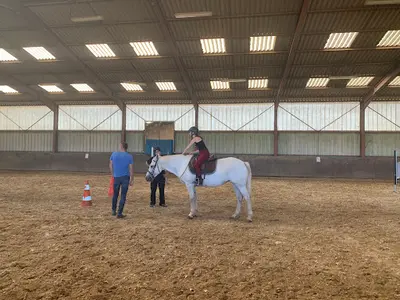 Les Écuries d'Arion - Centre Équestre 77 - Pension Pour Chevaux 77