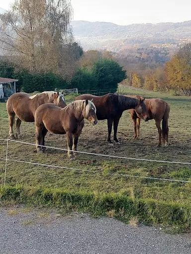 Les Écuries de Plein Sud