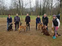 Centre d'Education Canine du Sarladais