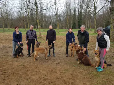 Centre d'Education Canine du Sarladais