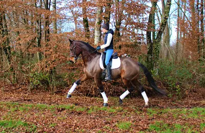 Elevage d'Ellbe