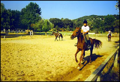 Centre Équestre de Porticcio - Centru Equestru Di Purtichju