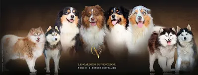 Les Gardiens du Vencedor
