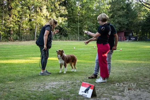 Training Club Canin du Florival