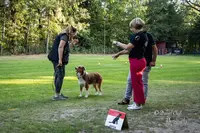 Training Club Canin du Florival