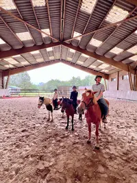 Centre Equestre Château-gaillard