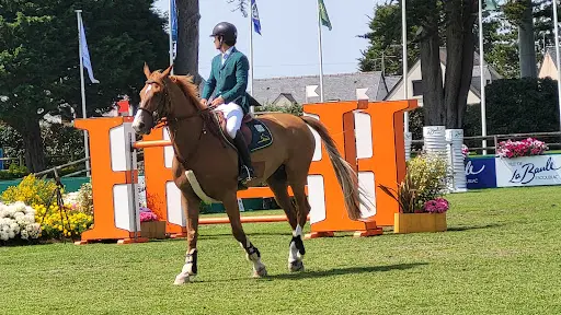 Société des Concours Hippiques de la Baule