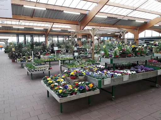 Jardiland